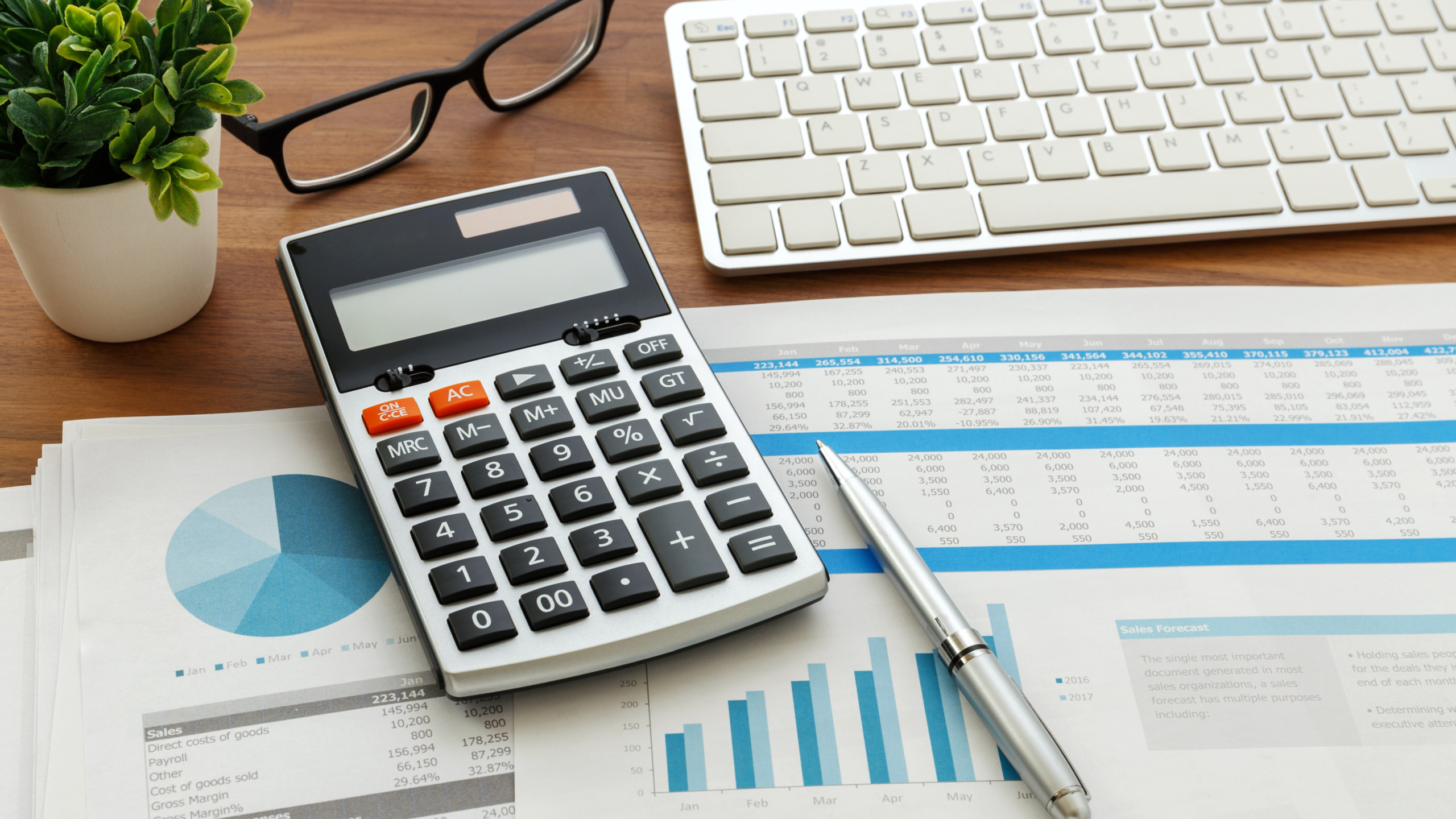 DATEV - Finanzbuchführung; Lohn und Gehalt